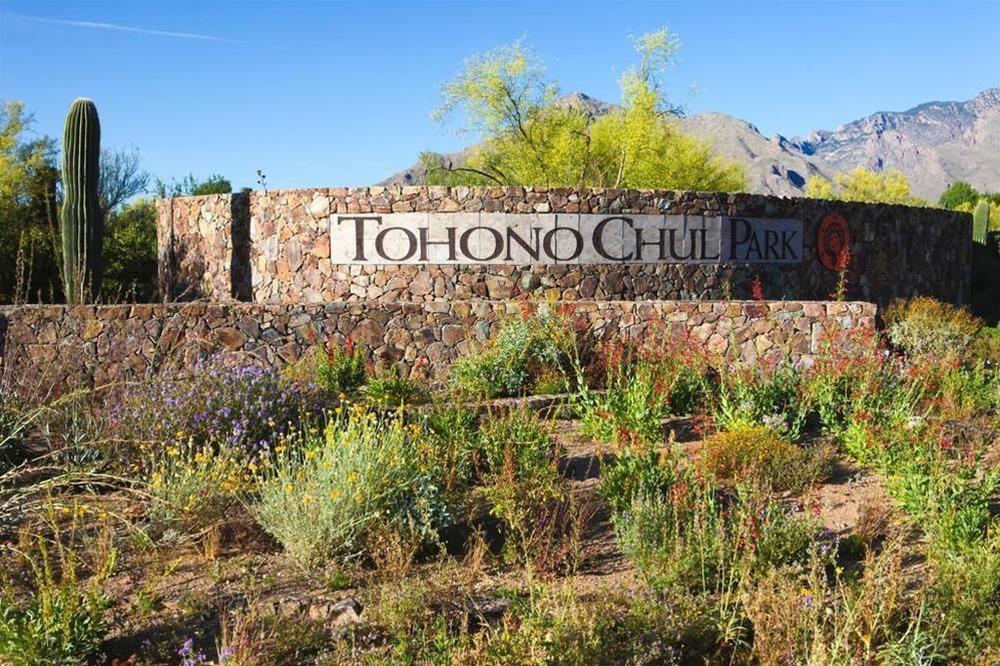 Отель 3 Palms Tucson North Foothills Экстерьер фото